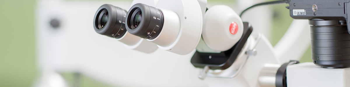 レントゲン写真